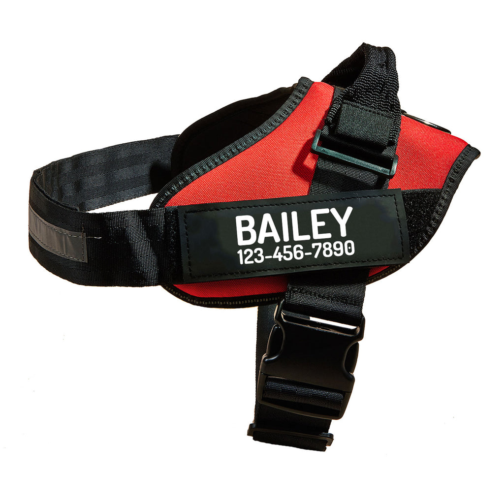 PawPawify Custom No Pull Dog Harness with Name and Phone Number